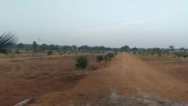 Buy 1 Acre Agricultural Land in Hyderabad - near Sadashivpet Tollplaza